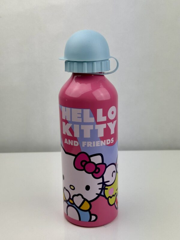 Garrafa Térmica Hello Kitty & Friends