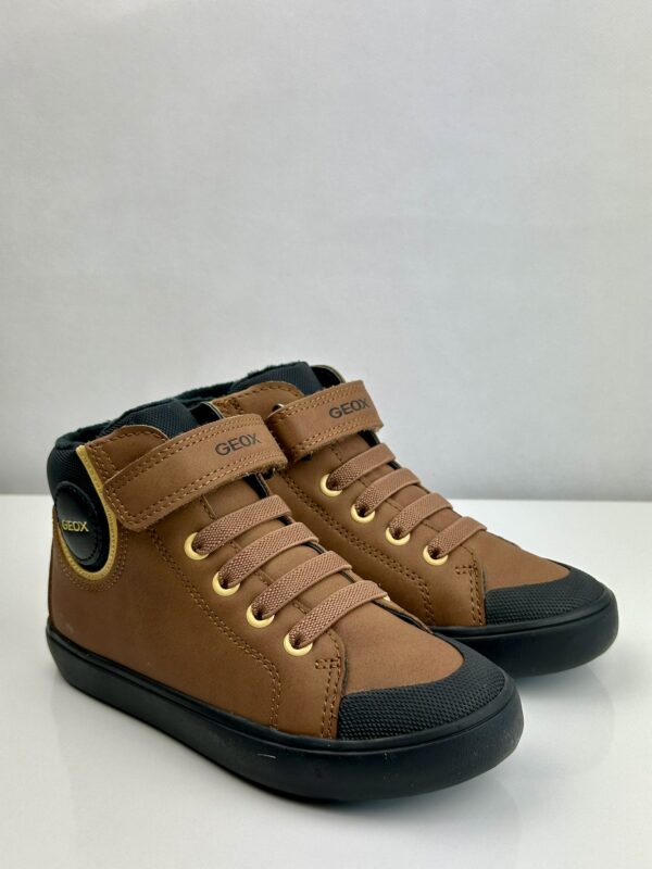 Geox | Sapatilha Gisli