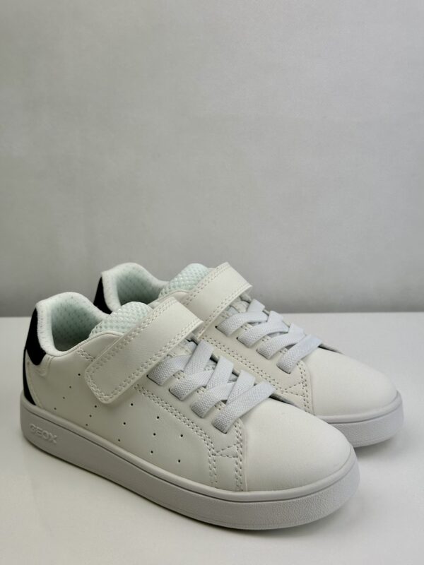 Geox | Sapatilha Eclyper